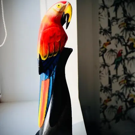 Le Perroquet Fringant, Rue Pietonne Et Quartier Historique דירה קאין