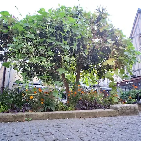 Appartement Le Perroquet Fringant, Rue Pietonne Et Quartier Historique Caen