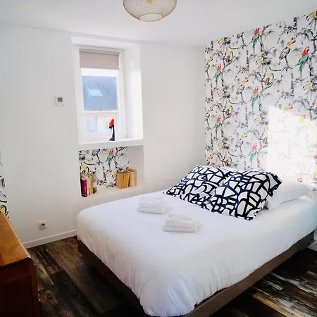 Appartement Le Perroquet Fringant, Rue Pietonne Et Quartier Historique Caen