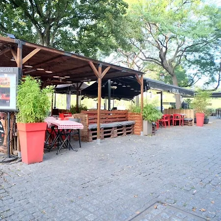 Le Perroquet Fringant, Rue Pietonne Et Quartier Historique * Caen