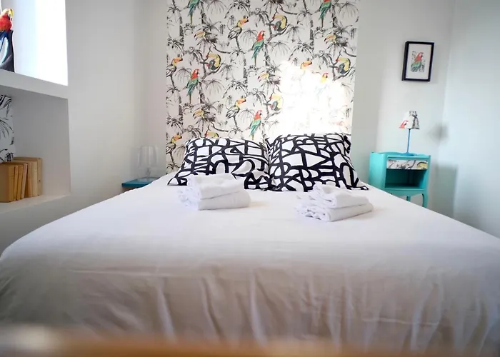 Apartmán Le Perroquet Fringant, Rue Pietonne Et Quartier Historique *